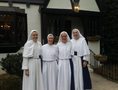 A New Novice: Sister Mary Jacinta